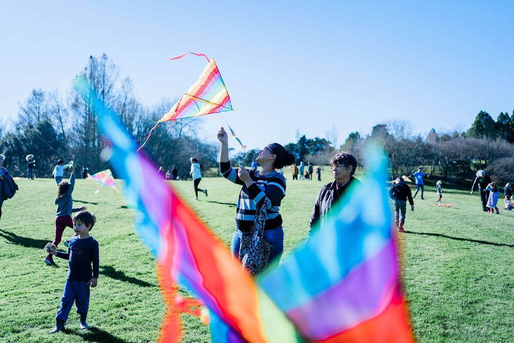 Matariki Kite Day - Hamilton